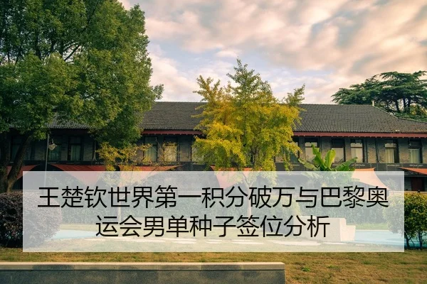 wang-chu-qin-shi-jie-di-yi-ji-fen-po-wan-yu-ba-li-ao-yun-hui-nan-dan-zhong-zi-qian-wei-fen-xi-3-517.jpg