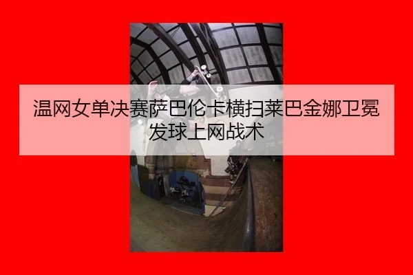 wen-wang-nv-dan-jue-sai-sa-ba-lun-ka-heng-sao-lai-ba-jin-na-wei-mian-fa-qiu-shang-wang-zhan-shu-2-983.jpg