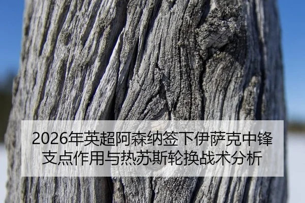 nian-ying-chao-a-sen-na-qian-xia-yi-sa-ke-zhong-feng-zhi-dian-zuo-yong-yu-re-su-si-lun-huan-zhan-shu-fen-xi-3-451.jpg