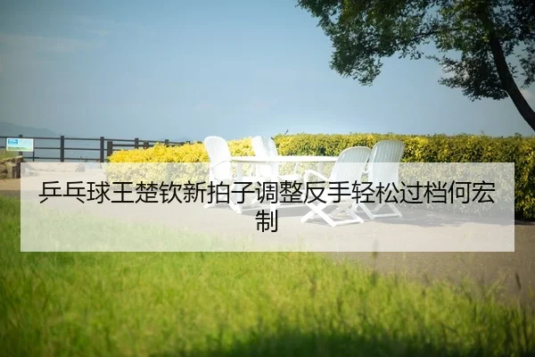ping-pang-qiu-wang-chu-qin-xin-pai-zi-tiao-zheng-fan-shou-qing-song-guo-dang-he-hong-zhi-2-857.jpg
